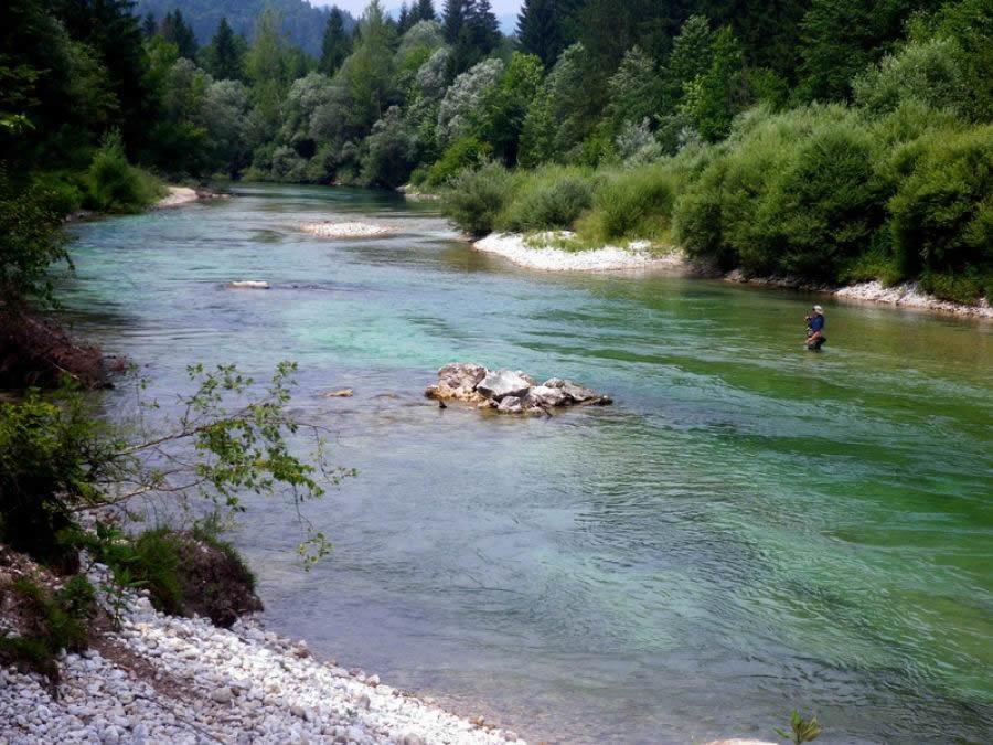 Apartamento Rems Bohinj Exterior foto